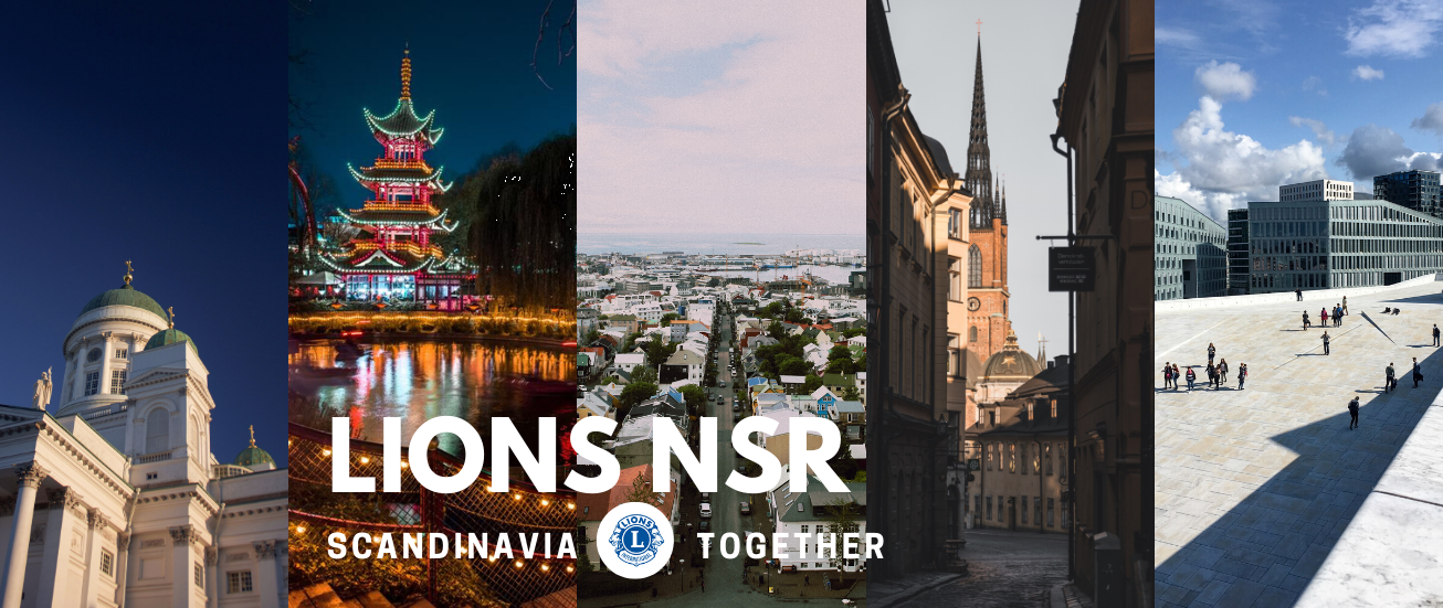 lionsnsr.org